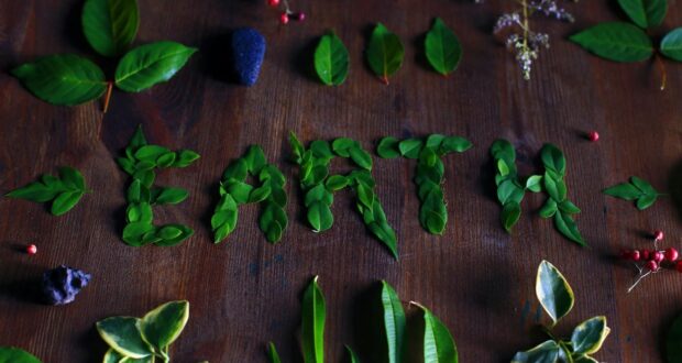 leaves on table