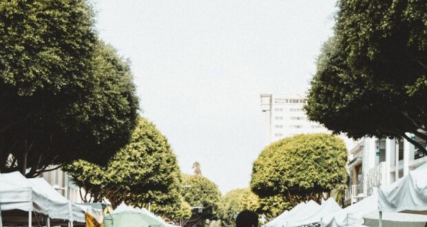 people walking on walkway during daytime