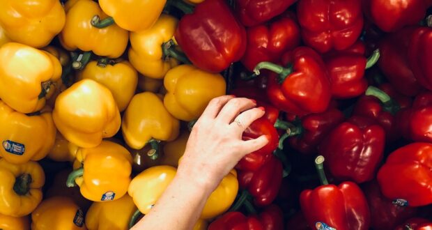 person holding bell pepper