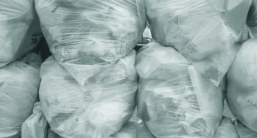 white and green plastic bags